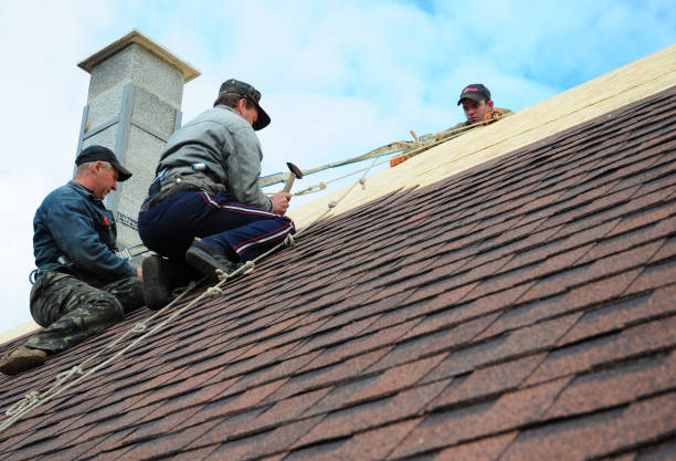 Quick and Trustworthy Emergency Roof Repair Services in Midlothian, IL
